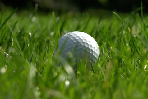 Stellicher Sonsbeek Open 2019 haalt ruim €26.000 op